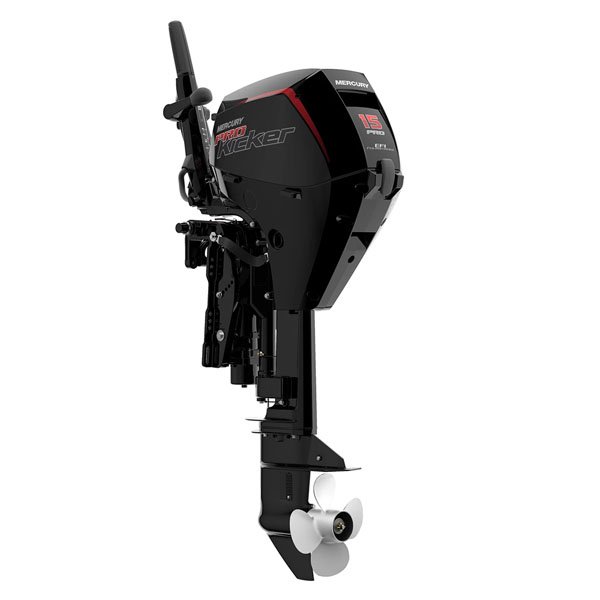 2020 Mercury 15 HP EFI 15ELHPT-CT-PK Outboard Motor